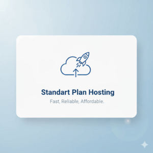 Unmeasured Hosting Standart Plan